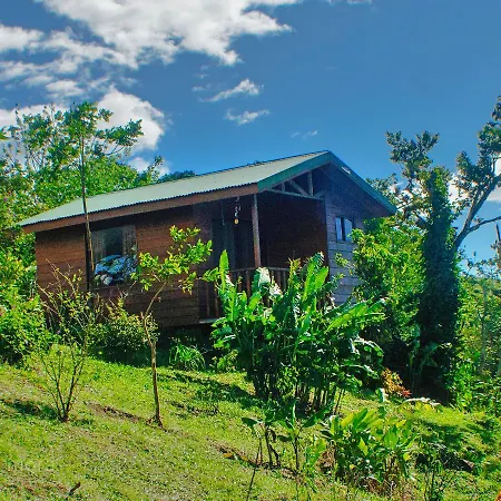 Eco Granja Don Lolo Villa Quesada  Exterior photo