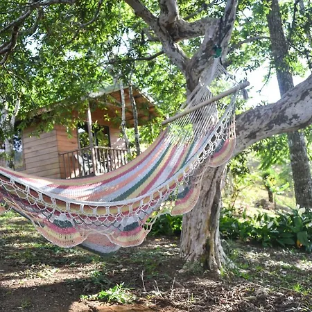 Eco Granja Don Lolo Villa Quesada  Exterior photo