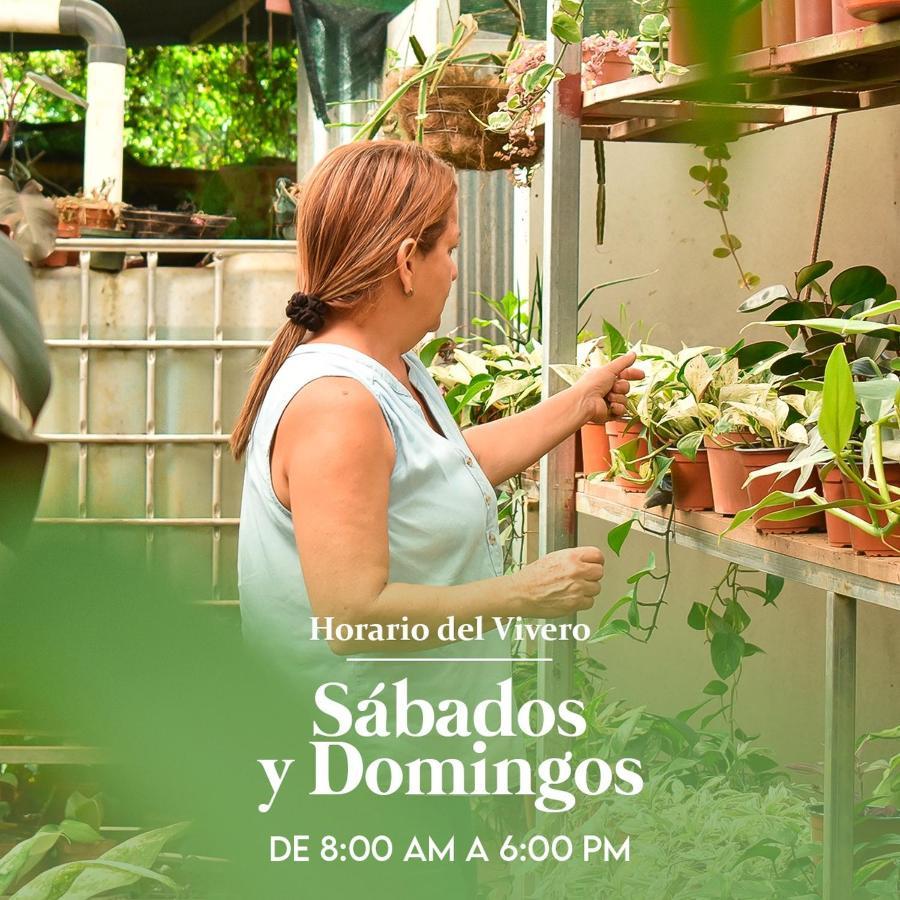Eco Granja Don Lolo Lodge *
