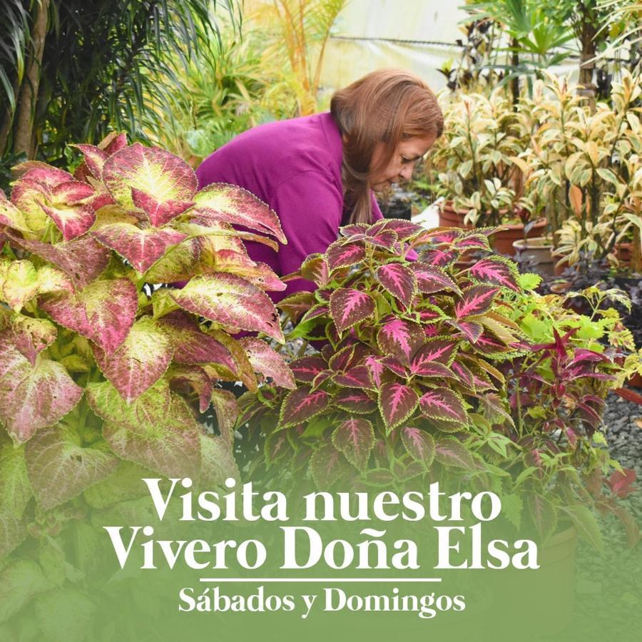 Eco Granja Don Lolo *