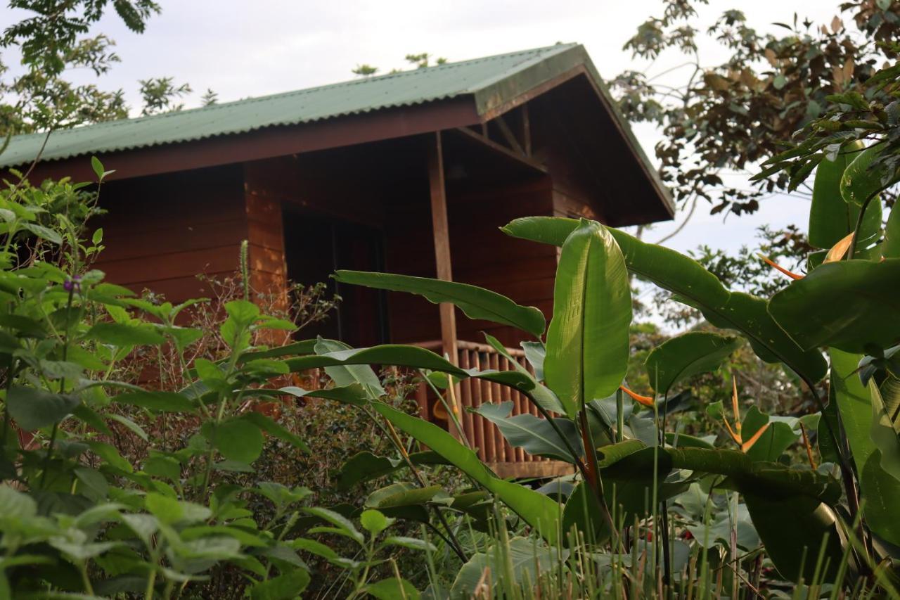 Eco Granja Don Lolo