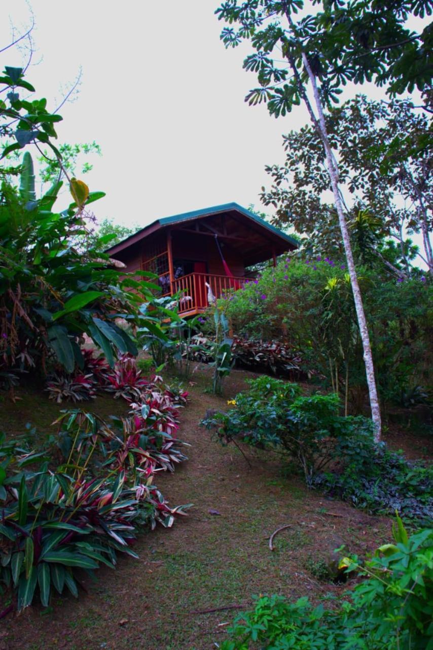 Eco Granja Don Lolo Quesada (Alajuela)