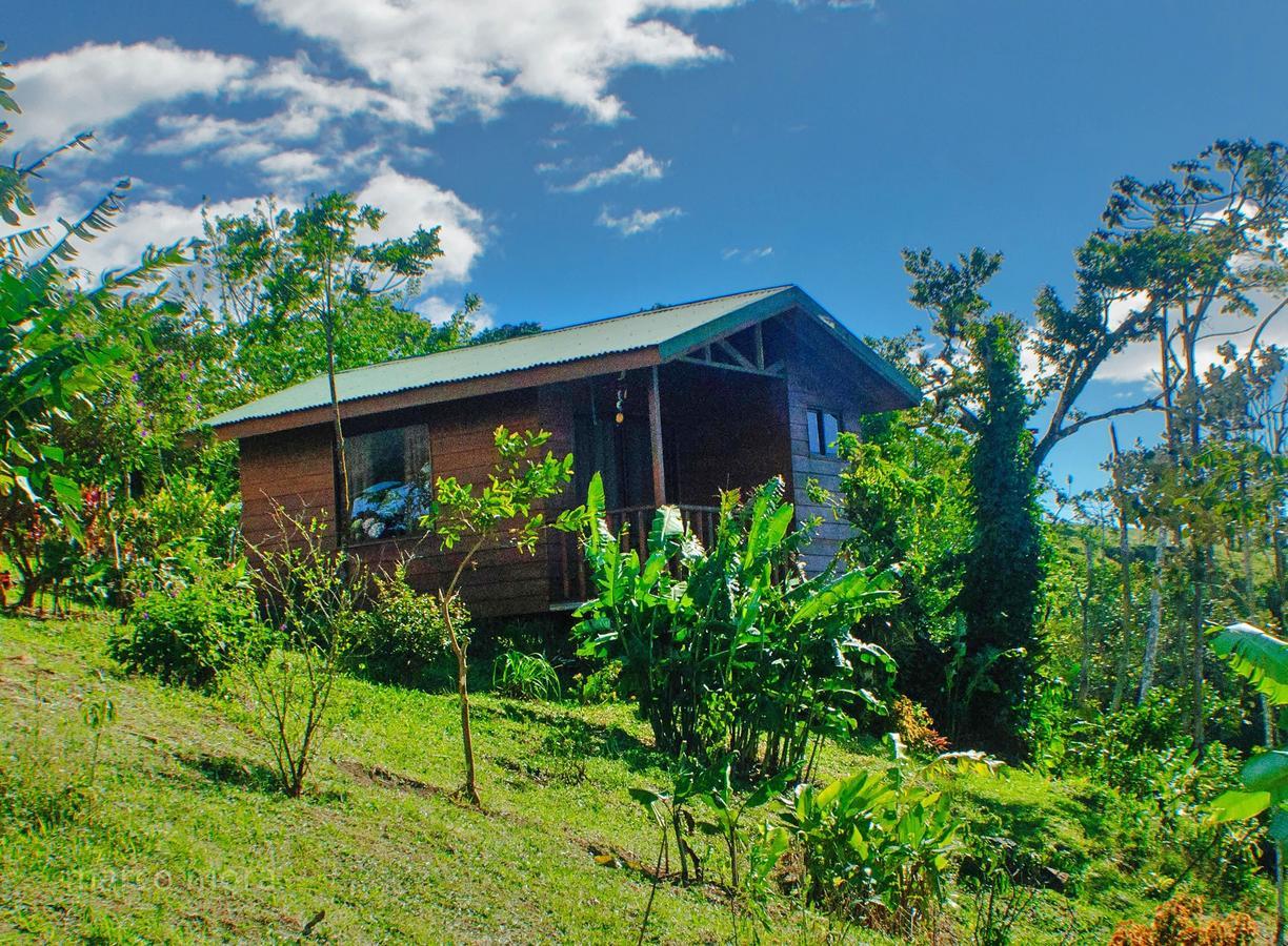 Eco Granja Don Lolo Lodge *