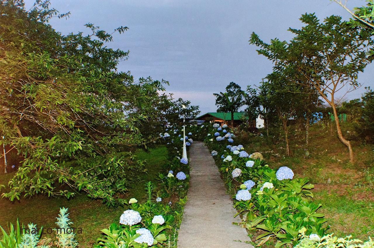 Eco Granja Don Lolo Quesada (Alajuela)