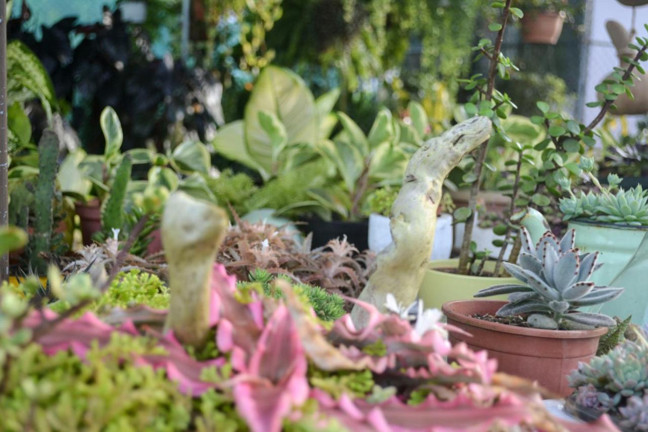 Eco Granja Don Lolo Lodge Quesada (Alajuela)
