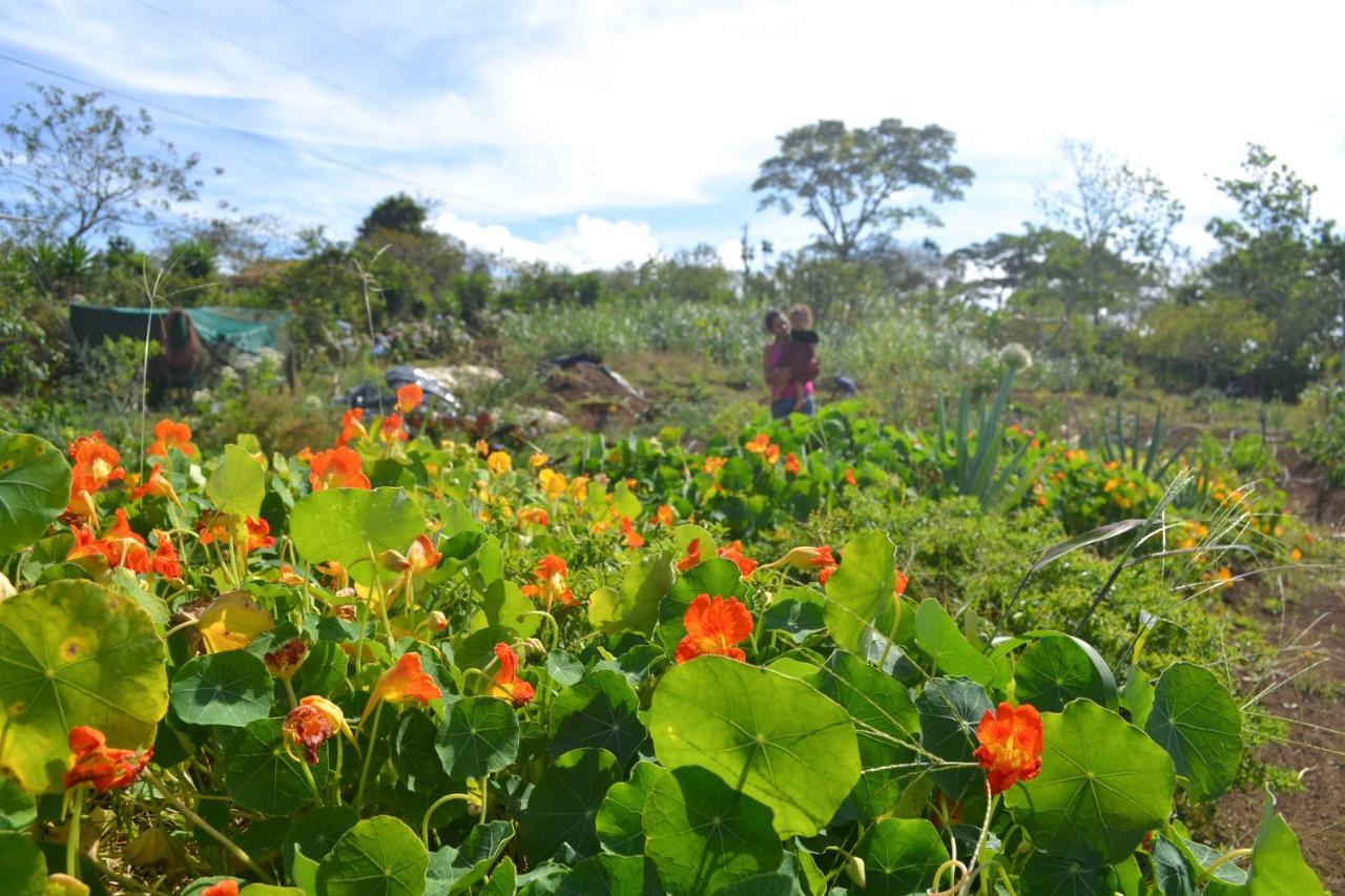 Lodge Eco Granja Don Lolo Quesada (Alajuela)