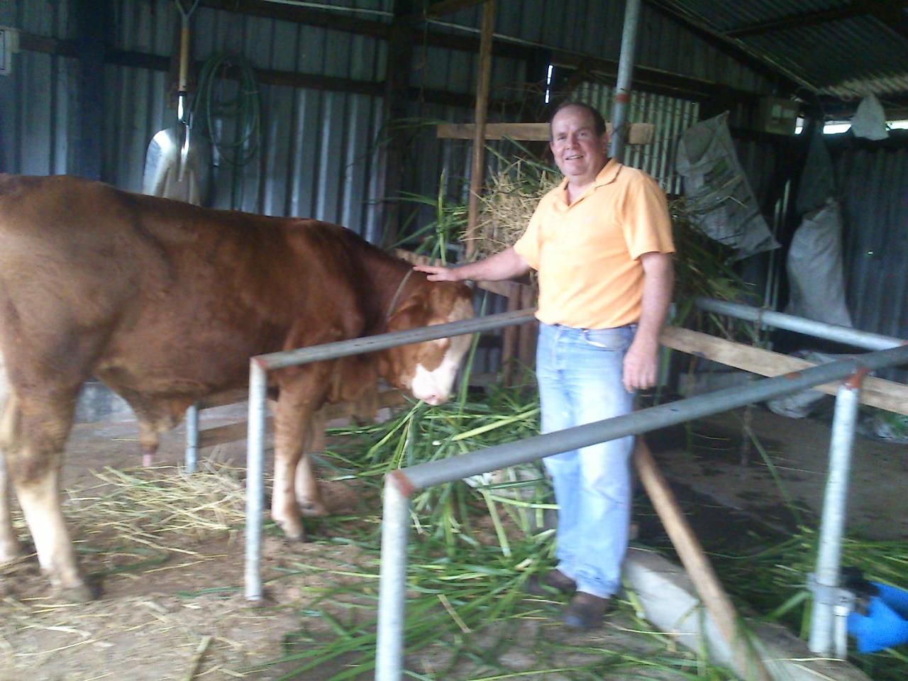 Eco Granja Don Lolo * Quesada (Alajuela)