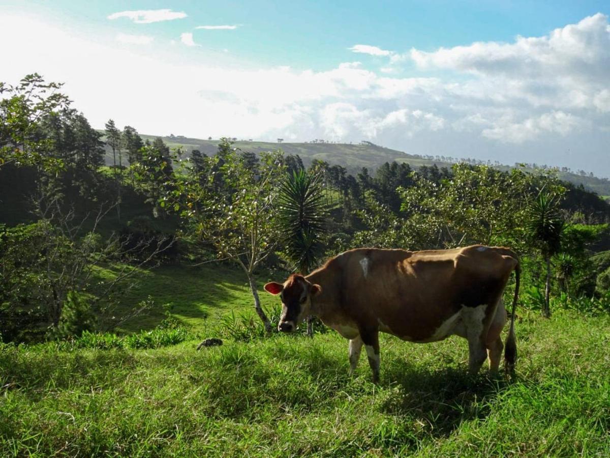 Eco Granja Don Lolo *