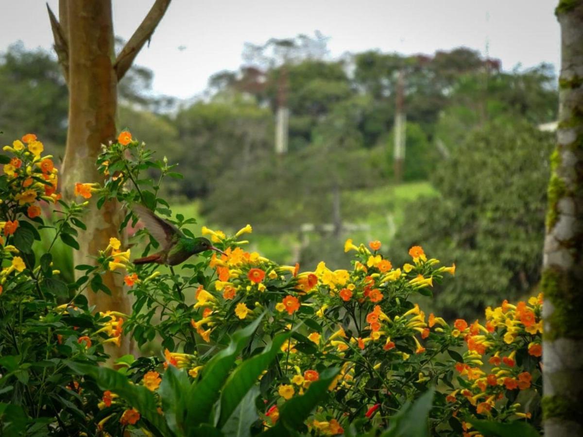 Lodge Eco Granja Don Lolo Quesada (Alajuela)
