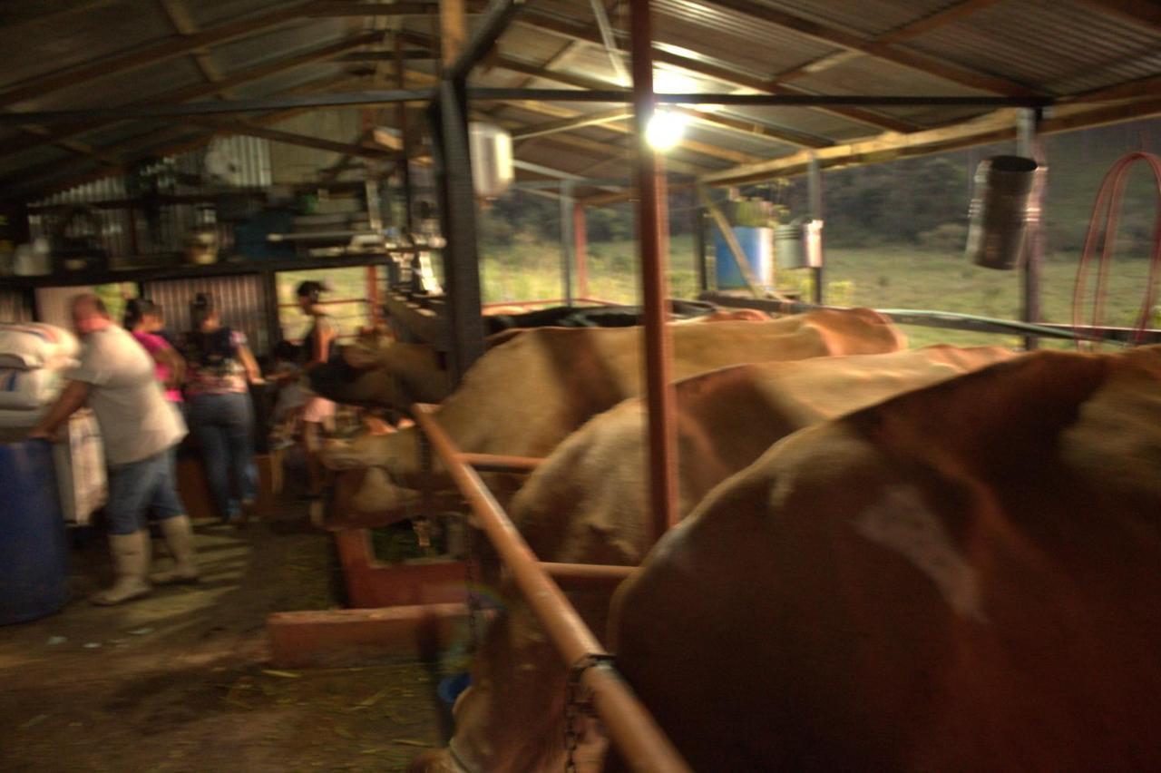 Lodge Eco Granja Don Lolo