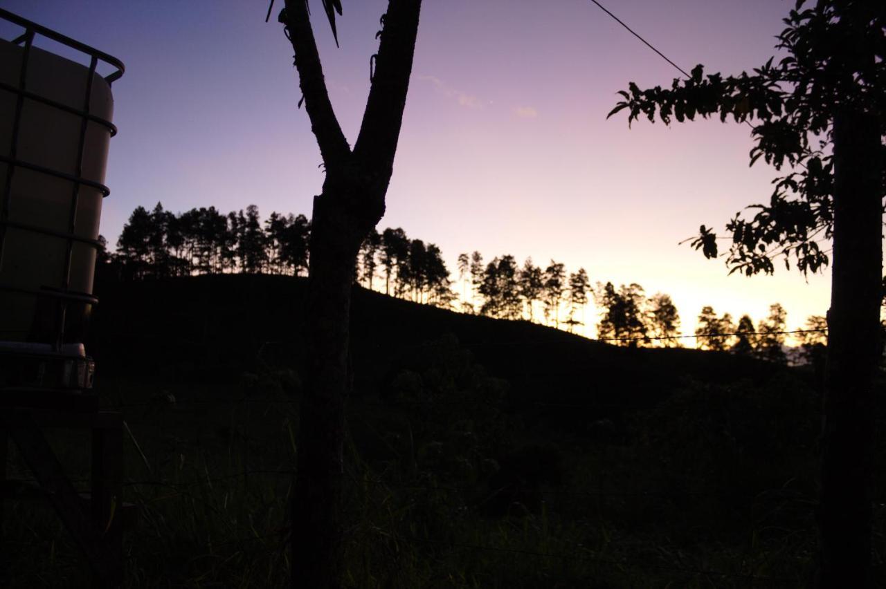 Eco Granja Don Lolo *